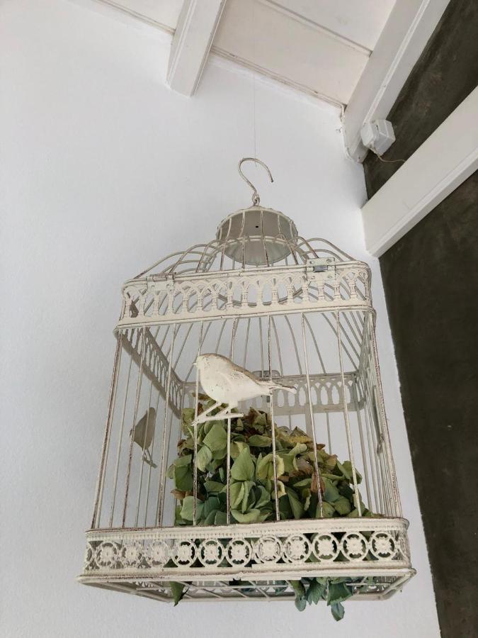 Casa Da Arquinha Villa Santo Amaro  Екстериор снимка